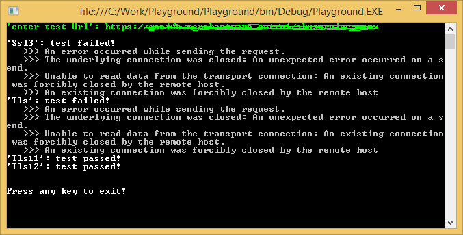 test TLS .Net console application screenshot